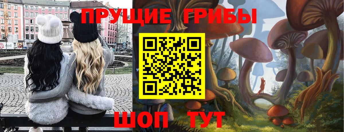 Надым  Псилоцибиновые грибы ЛСД  Вход с VPN  Галлюциногенные грибы мицелий 